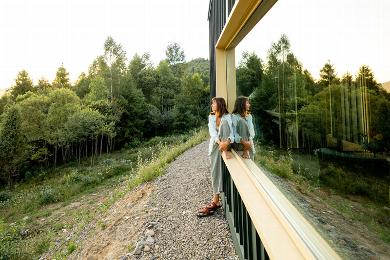 Woman gazing out a large window at a wooded landscape.